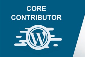 Curso online de Wordpress (Domestika)